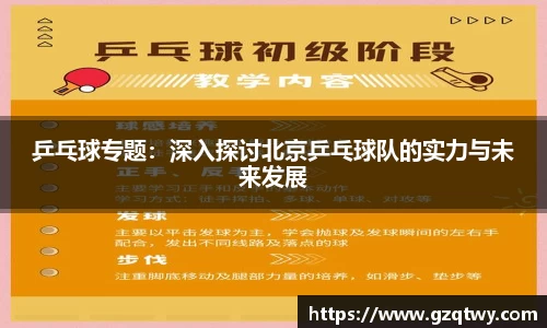 乒乓球专题：深入探讨北京乒乓球队的实力与未来发展